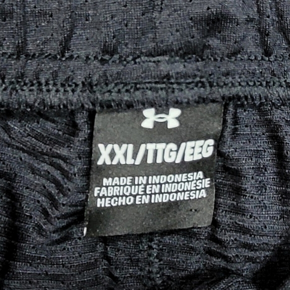 Under Armour Project Rock Iron Paradise Mesh Shorts 1373578-001 - Picture 7 of 7